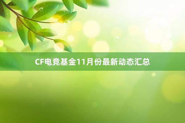 CF电竞基金11月份最新动态汇总