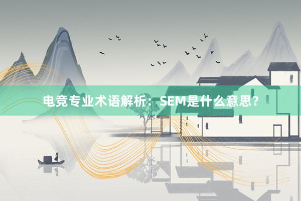 电竞专业术语解析：SEM是什么意思？