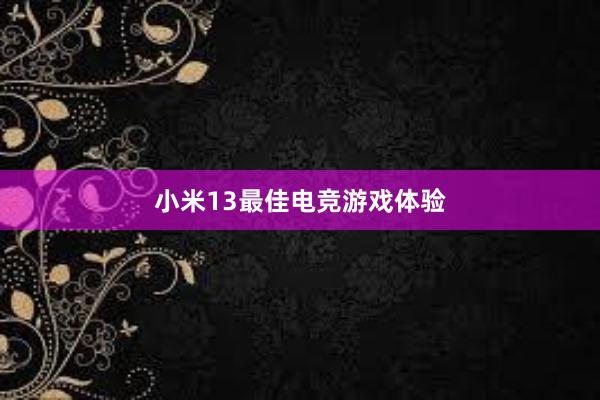 小米13最佳电竞游戏体验