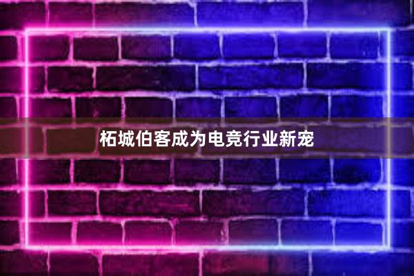 柘城伯客成为电竞行业新宠