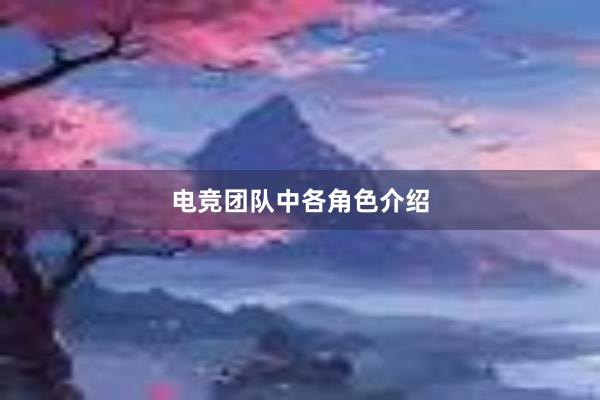 电竞团队中各角色介绍